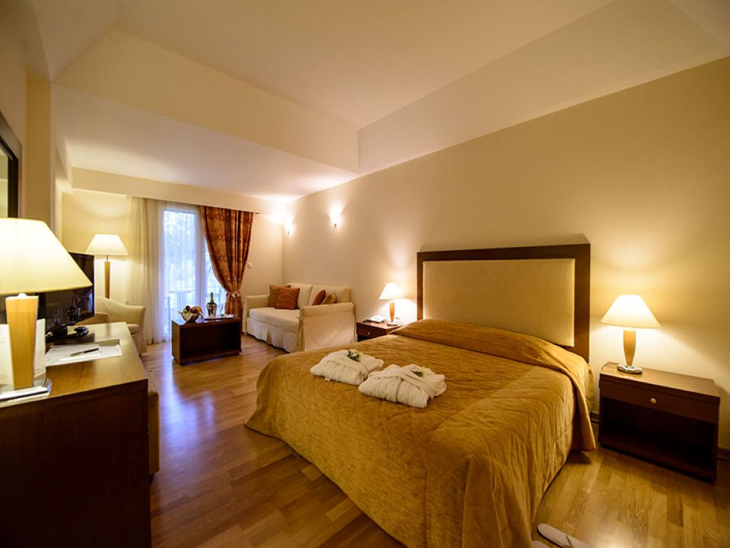 31hotel-olympion-asty